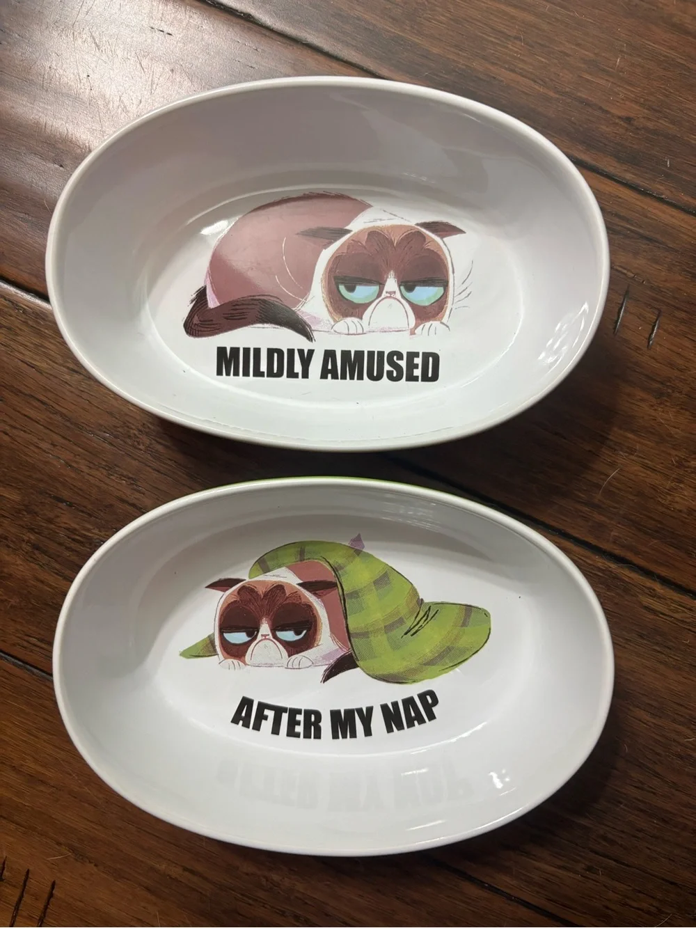 Two Grumpy Cat Ceramic Pet Bowls